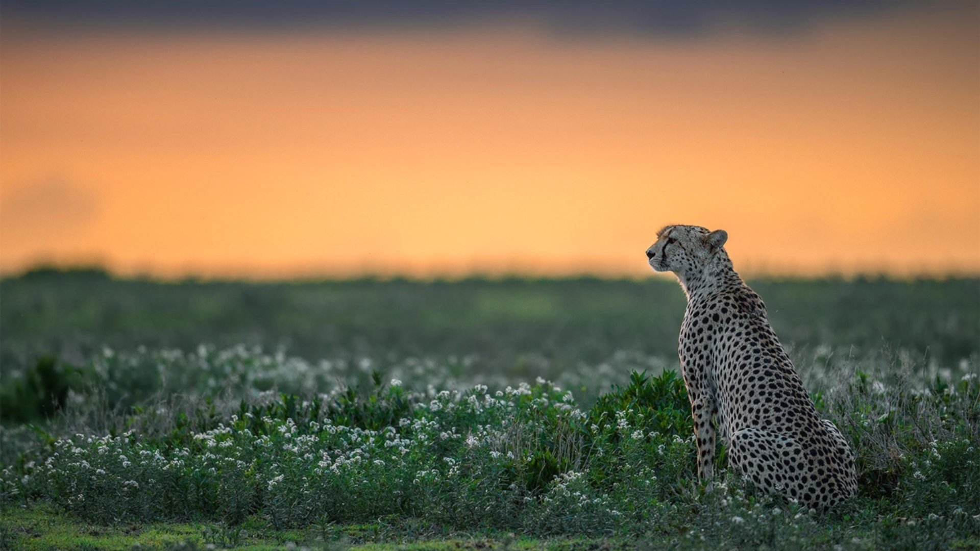 _互动运动艺术展:科技与体育的创新融合_,科技与体育主题标语