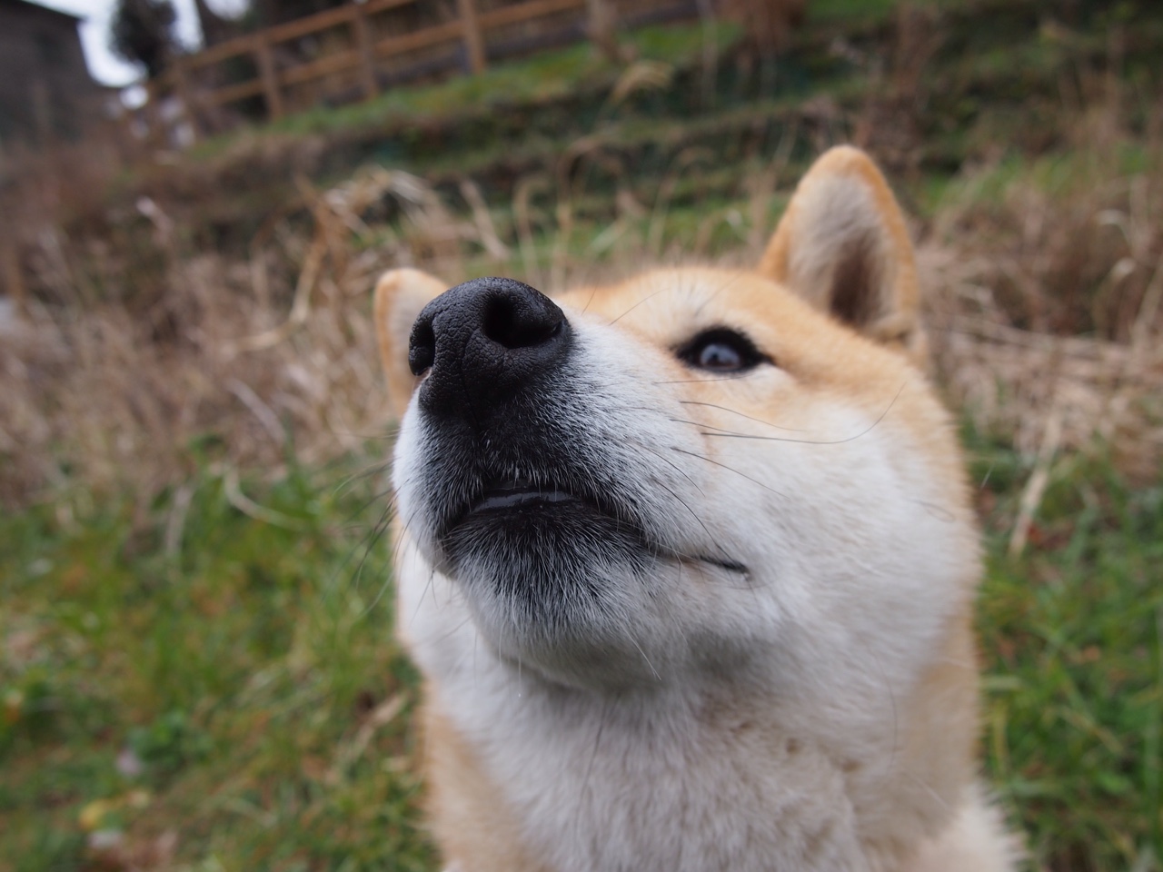 “未来青年力量”青少年篮球明星培养计划在北京全面推行,青少年篮球训练师