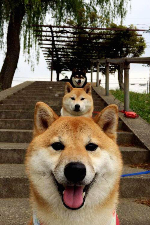 全国青少年“青训救援行动”在边远地区持续推进,助力体育扶贫