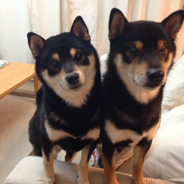 全国青少年篮球“星火行动”启动,培养高潜力后备力量,星火篮球培训机构