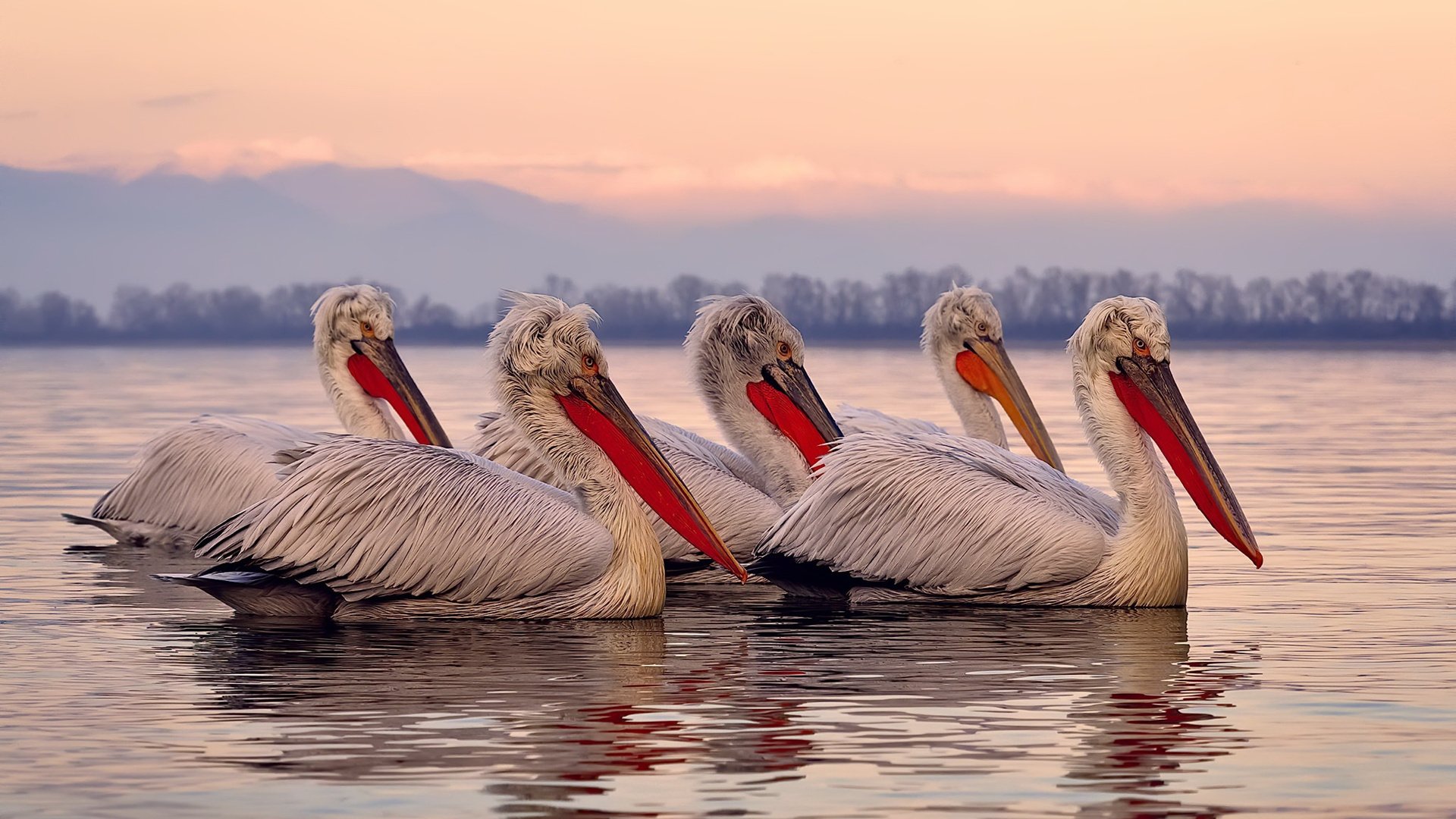意甲前线对决,比分2-2,明星前锋各贡献一球,场均运球成功率85%,意甲本轮对阵