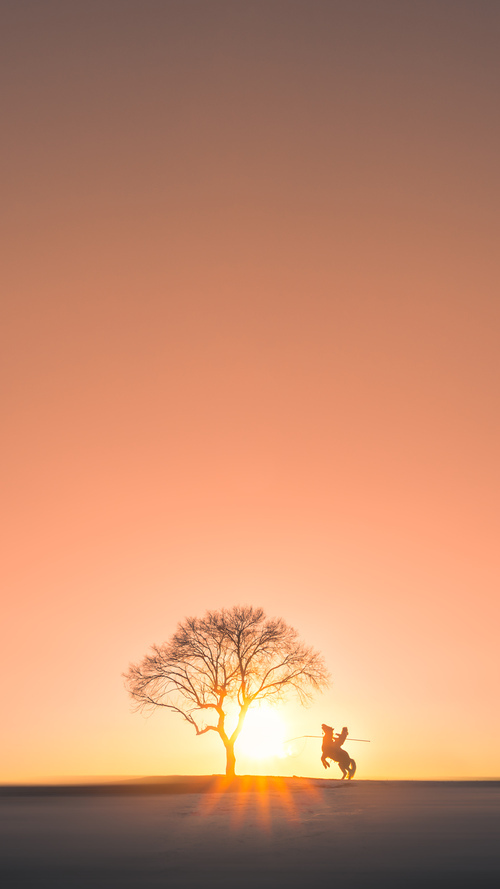 泰国马术协会与非洲马术协会开展技术援助项目,提升当地水平。