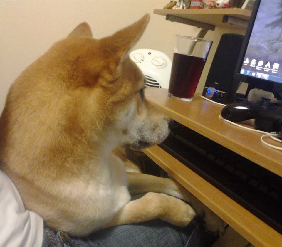 国际米兰中场核心发威,效力过国际米兰的中场