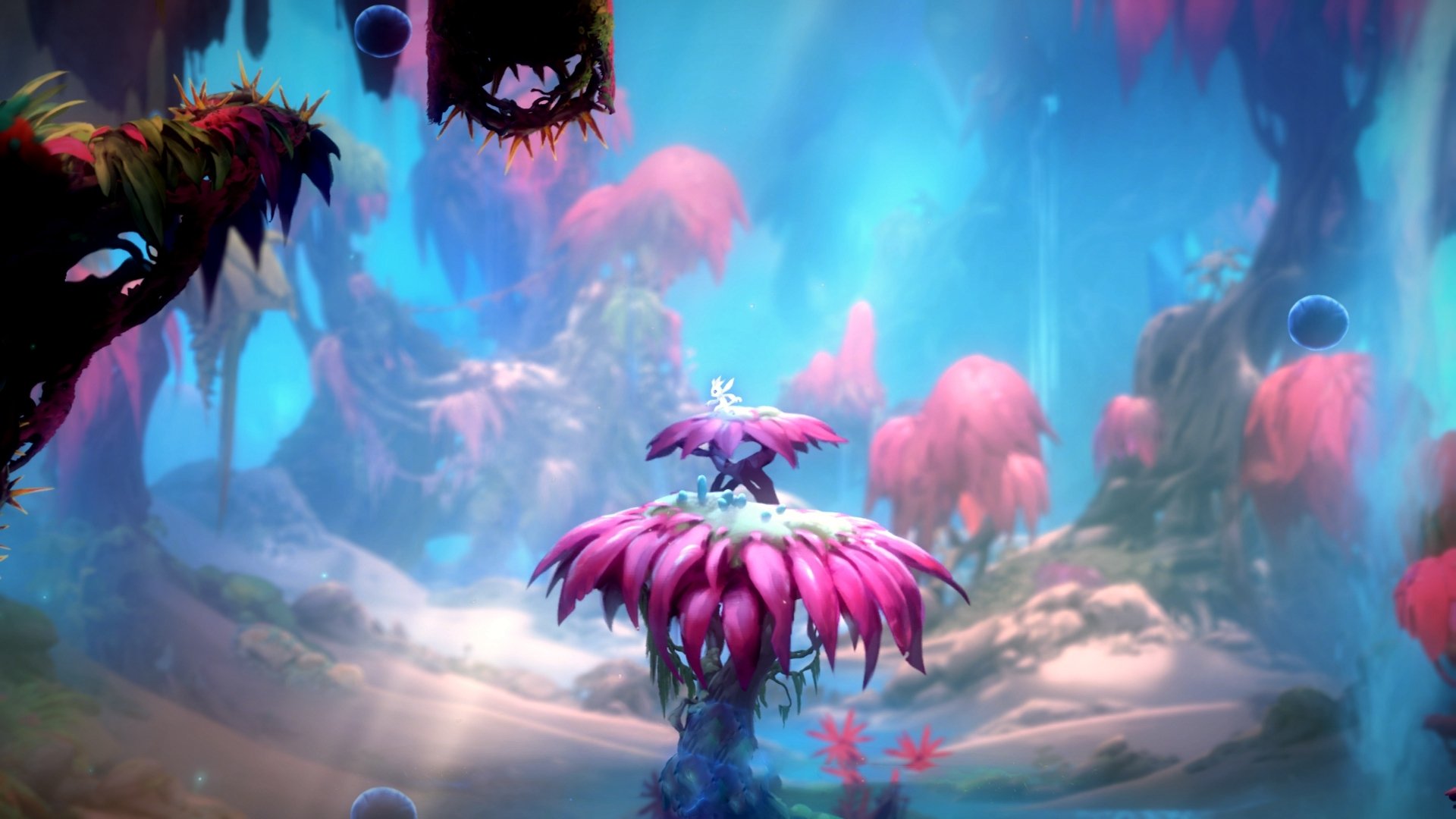 Kaiyun(中国)开云-奥地利队肩负重任，努力在欧预赛中展示实力，奥地利队足球