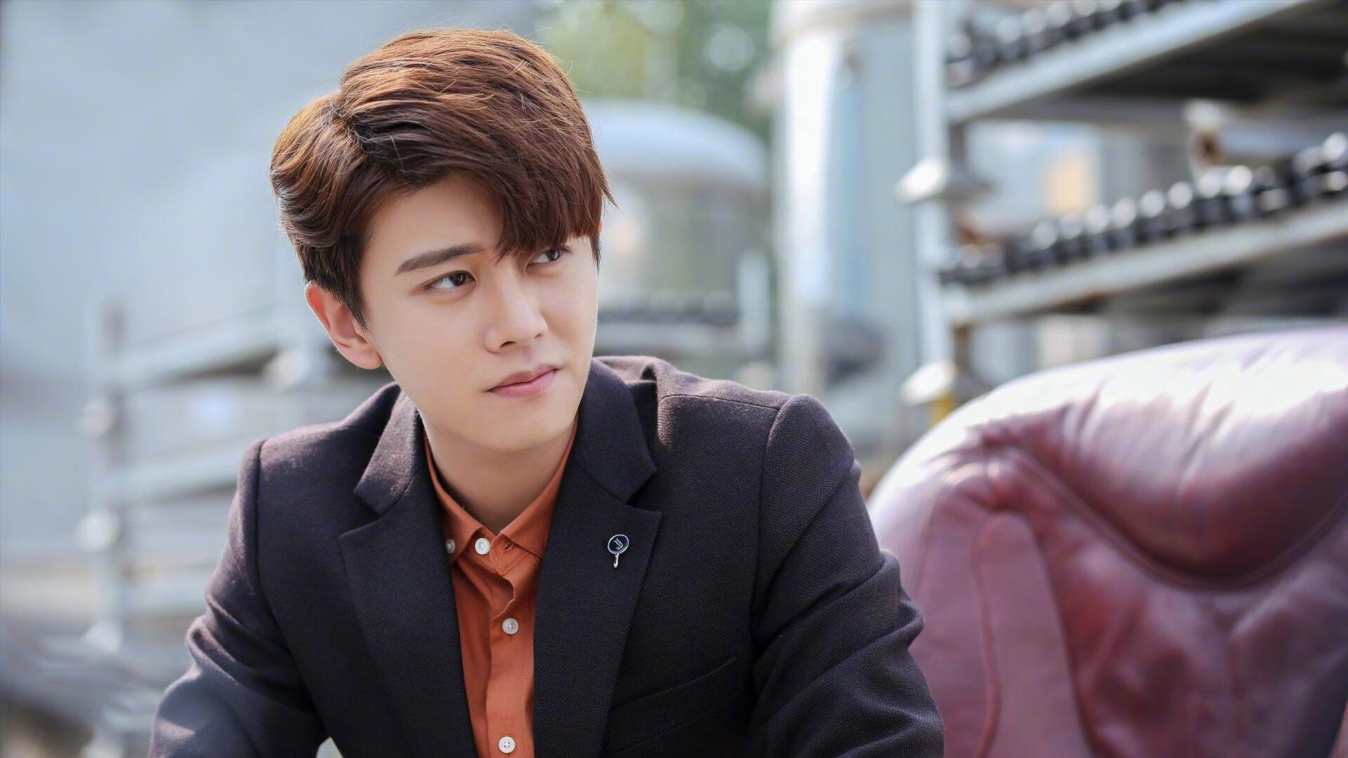 奥地利队肩负重任,努力在欧预赛中展示实力,奥地利队足球