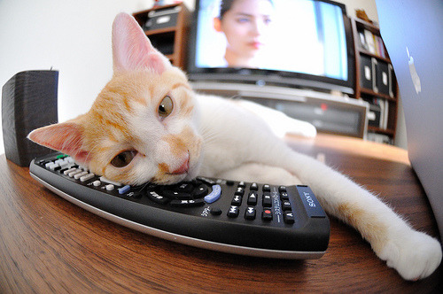 kaiyun中国官方网站-德国欧预赛踢出精彩战绩，稳坐小组第一，欧洲世预赛德国队