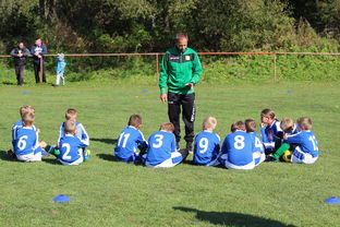 开云官方网页登录-五大联赛核心球员缺阵时教练战术应变差异分析，五大联赛主教练工资排名