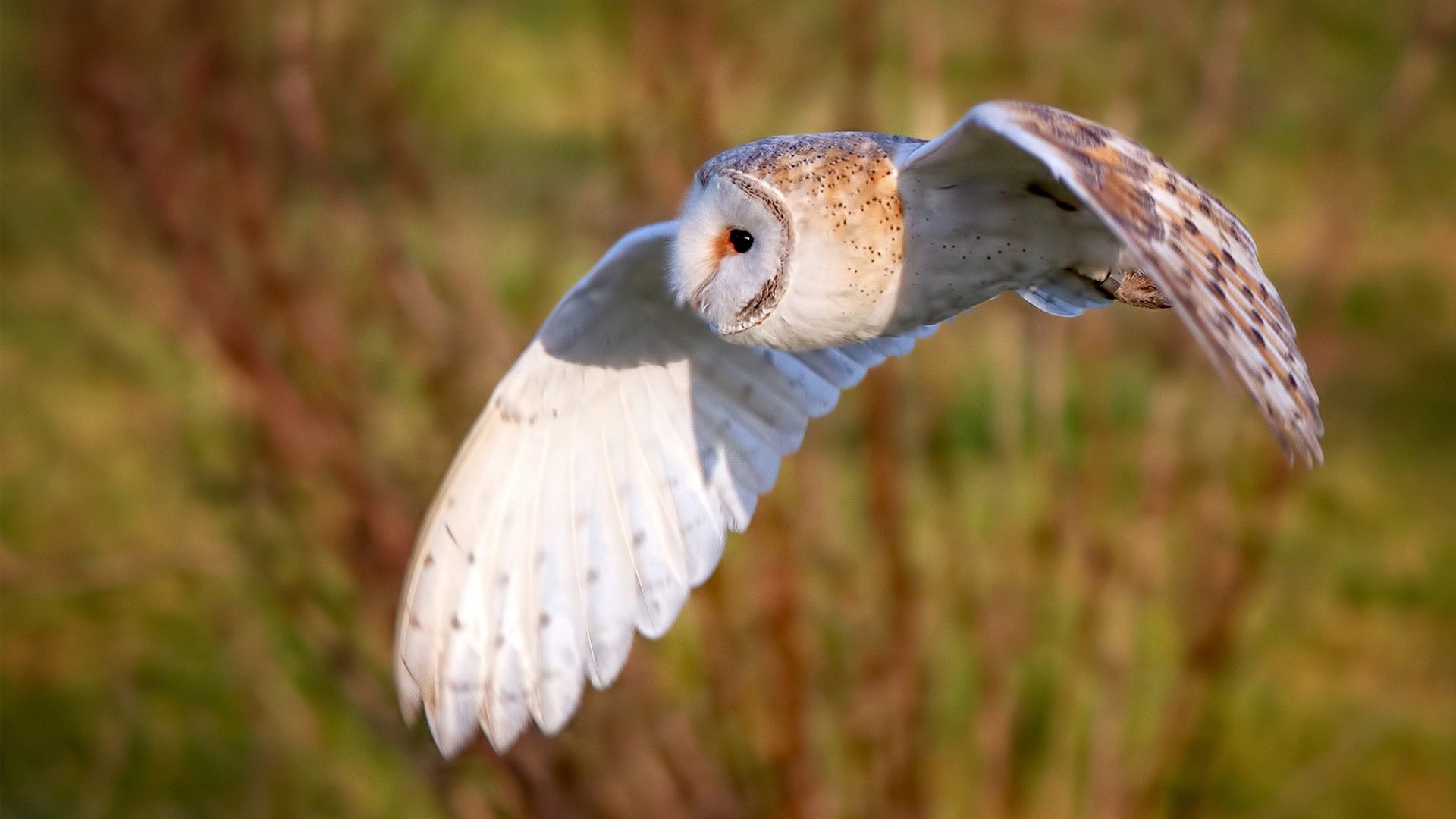 kaiyun网站-体育新闻中心发布全民健身内容资源库，全民健身体育项目