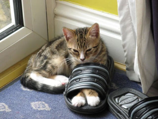 联赛中期总结多支黑马球队异军突起,足球队黑马