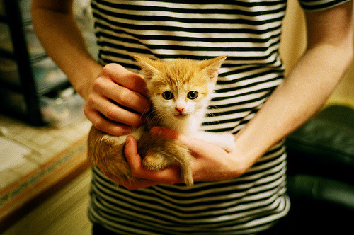 平台推出球迷定制头像活动加强互动参与感提升品牌认同度,球迷版的球衣是啥意思