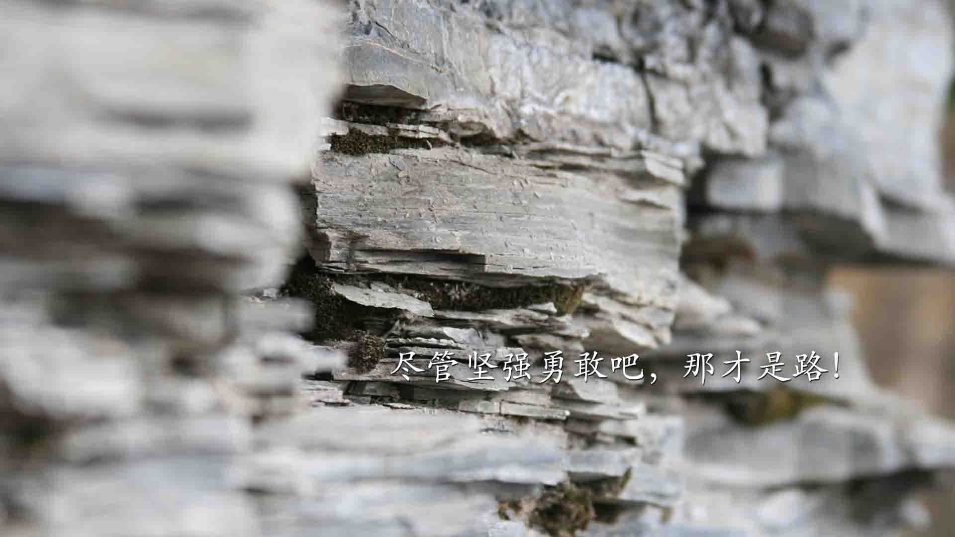 KAIYUN 中国大陆-跳水组合默契比利时夺得好成绩，各国跳水对比